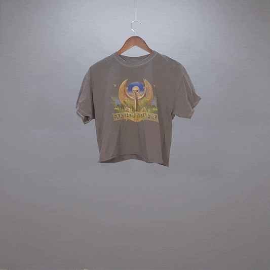 Earth Wind and Fire Cropped Tee