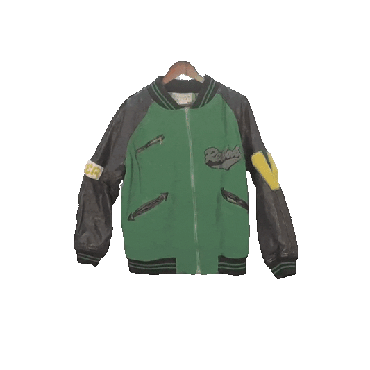 Reebok Sport Varsity Jacket