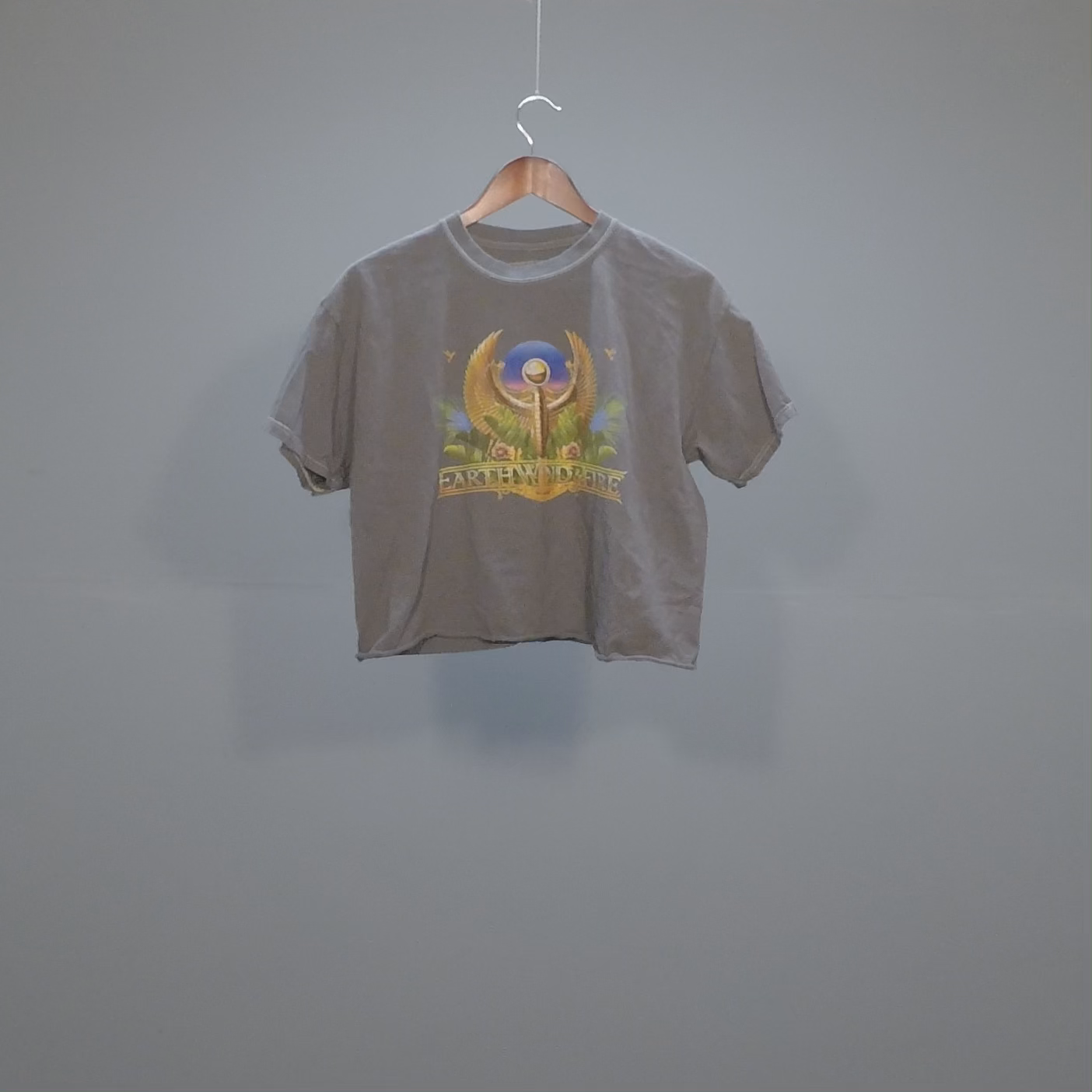 Earth Wind and Fire Cropped Tee